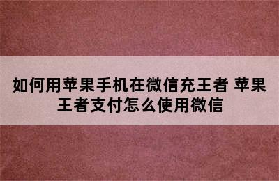 如何用苹果手机在微信充王者 苹果王者支付怎么使用微信